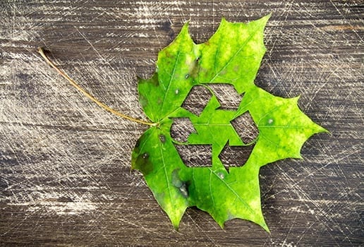 Leaf with recycling symbol