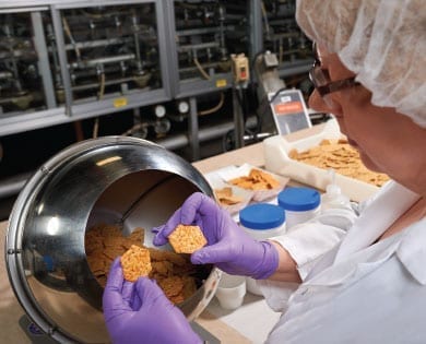 food scientist comparing crackers with seasoning