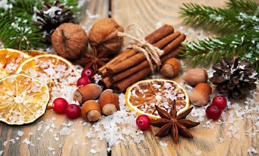 ingredients-orange, cinnamon, star of anise, salt 