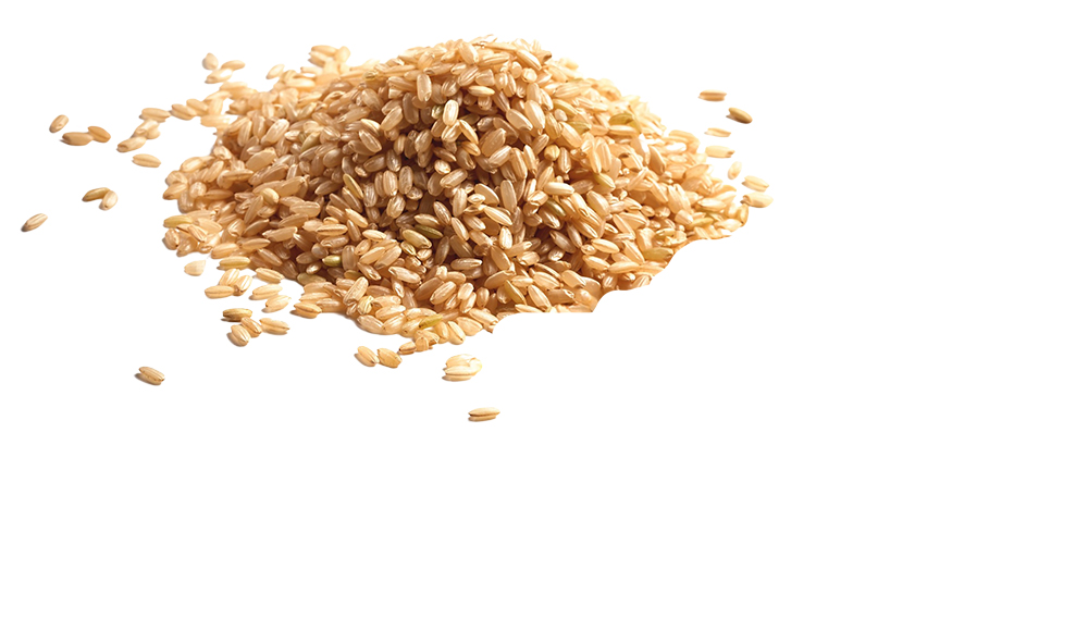 pile of medium grain rice and sesame seeds